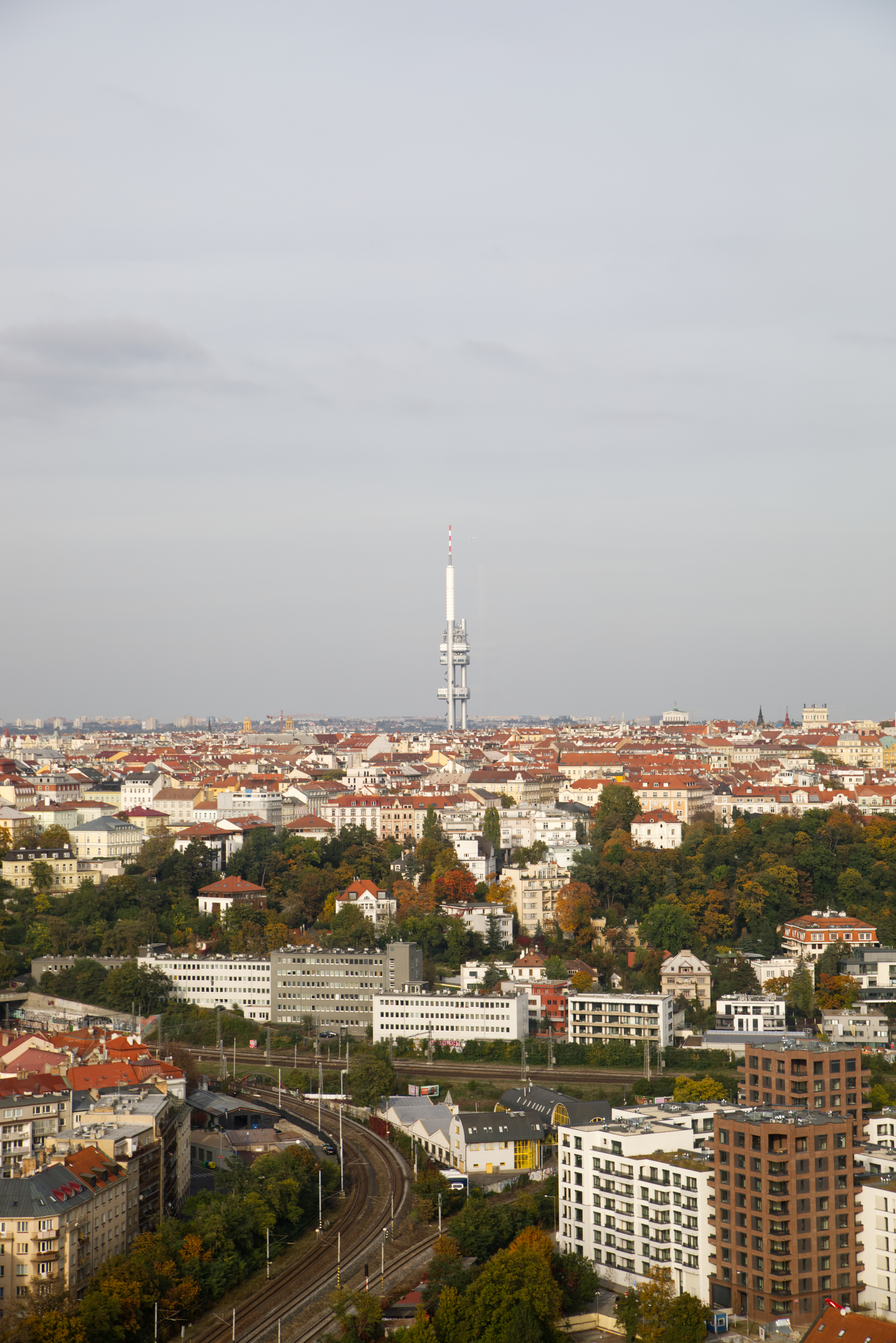 Bild von Prag